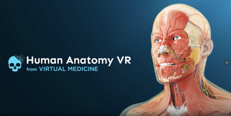 Human Anatomy VR